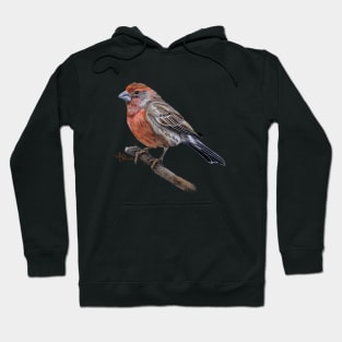 Perched Male House Finch Hoodie